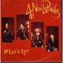 4 NON BLONDES What s up