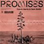 CALVIN HARRIS/SAM SMITH Promises